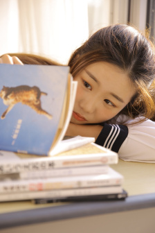 屠夫小姐